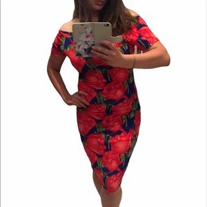 Playful Off The Shoulder Fitted Floral Red Roses Blue Midi Dress Size Large